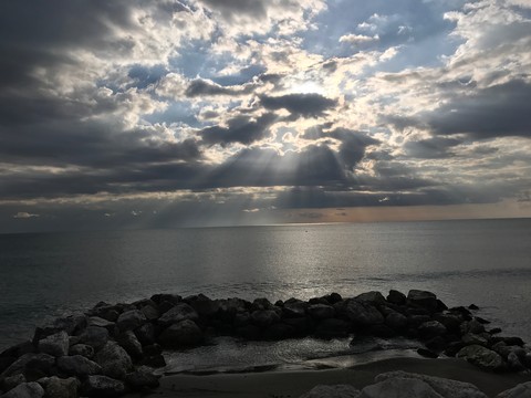 Sun Ray