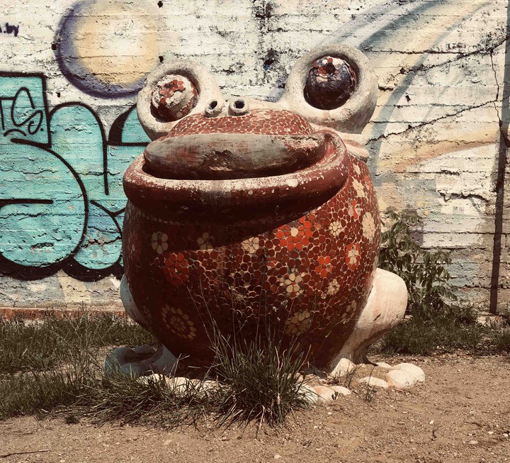 strange frog