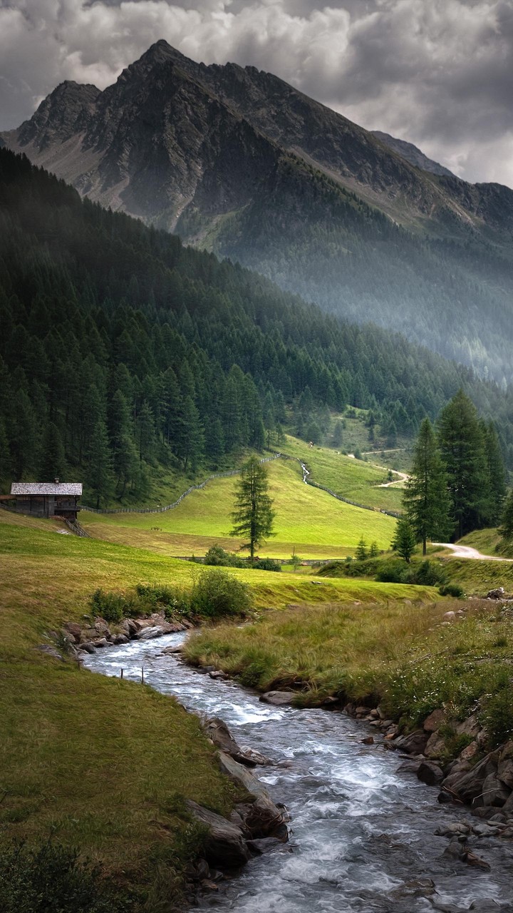 Nature