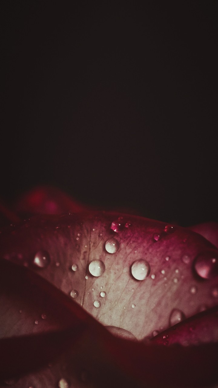 water