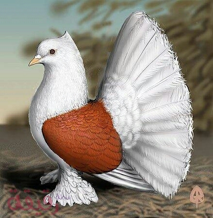 hbgghhbvf