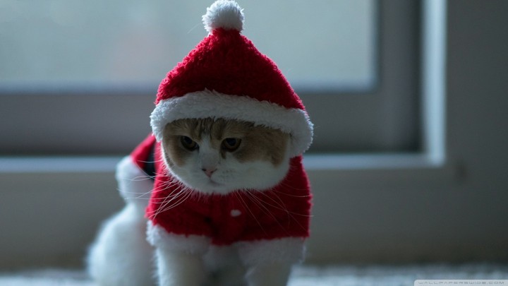 cuty