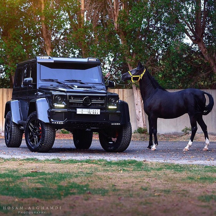 G class