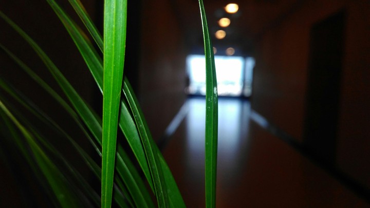 Corridor at night