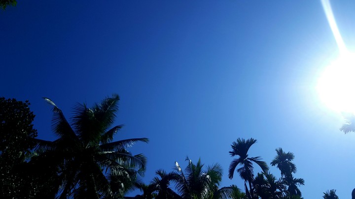 sunny day