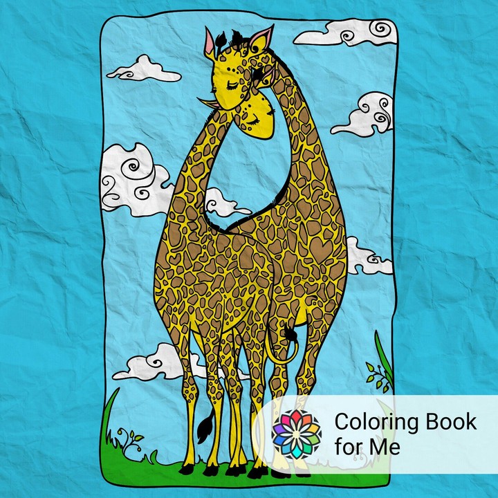 Giraffes
