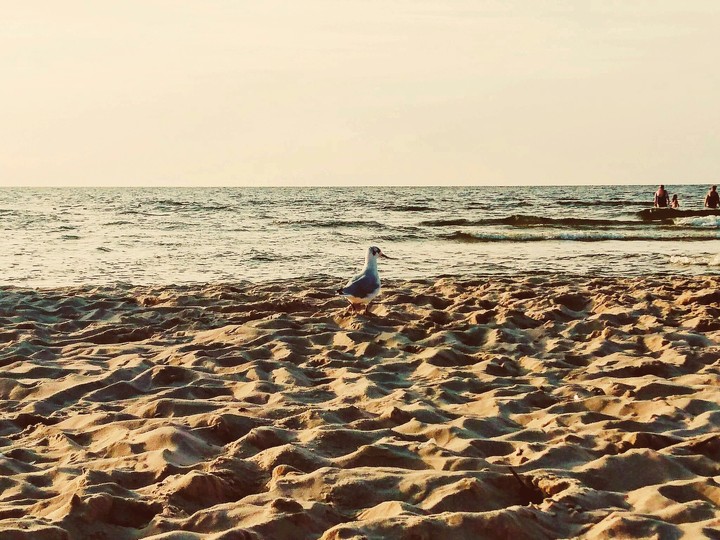Baltic sea