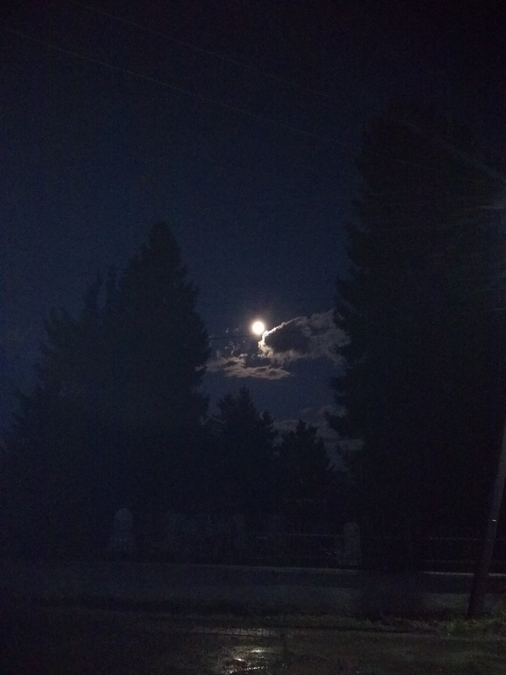 night