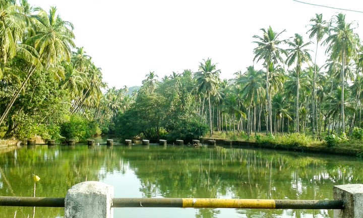 village trip