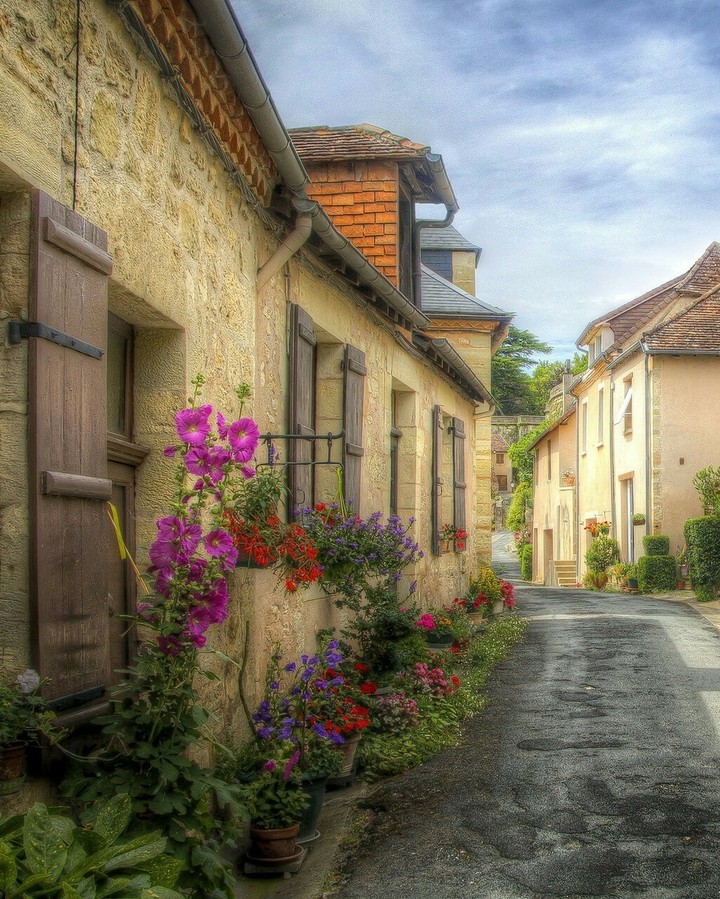 neighbours
