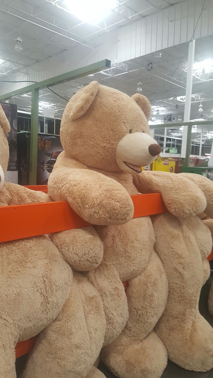 Giant teddy bears!  :)