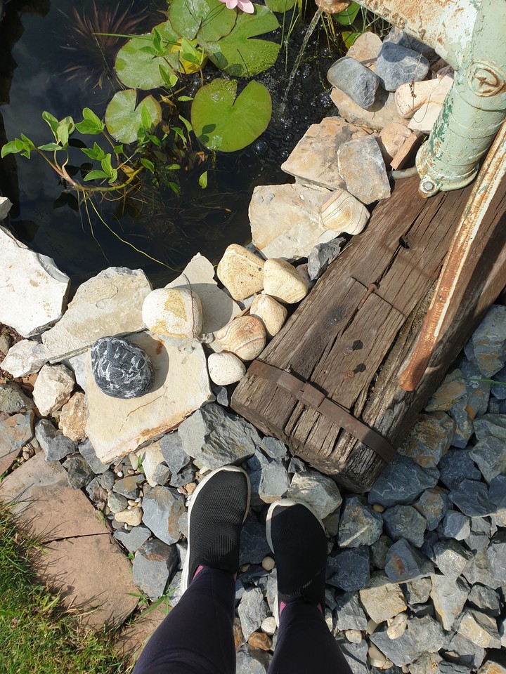 this is my leg and my water lily