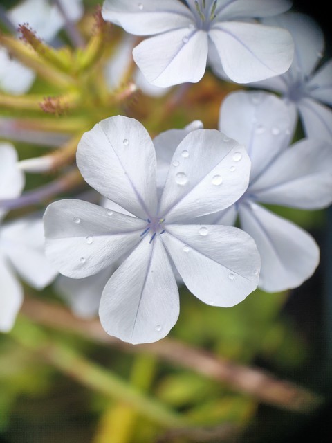 rainy