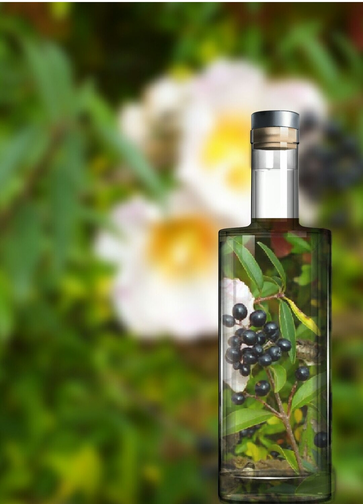 Beeren in der Flasche