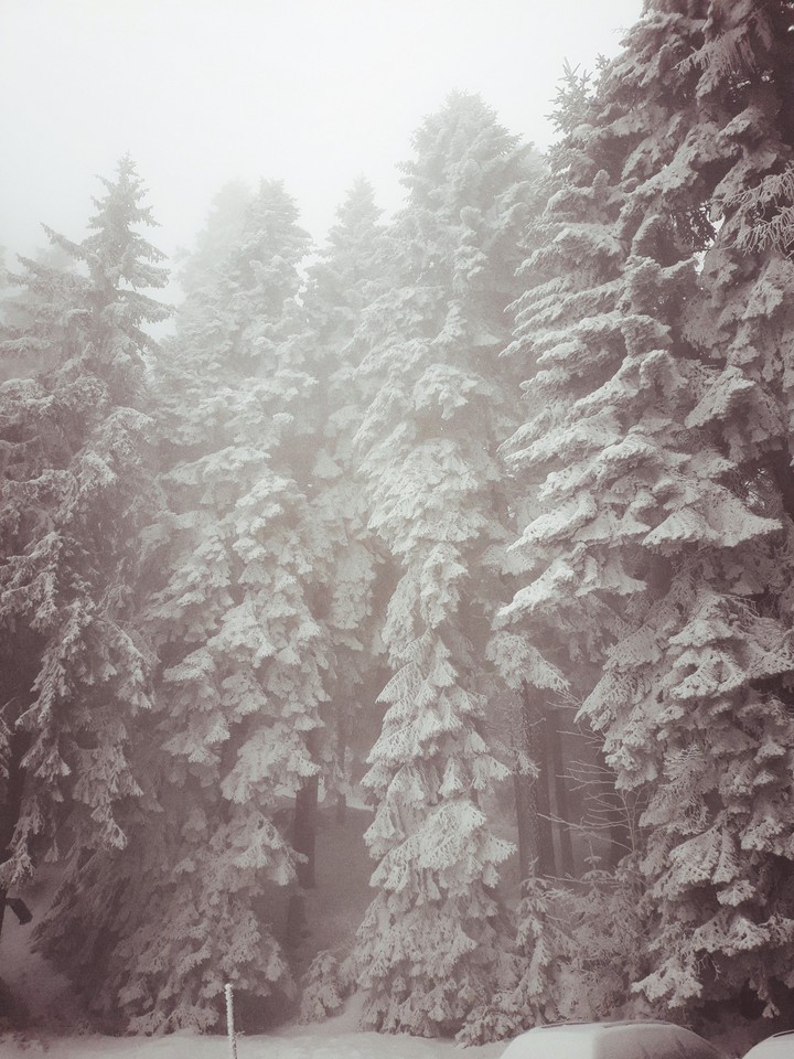 fog