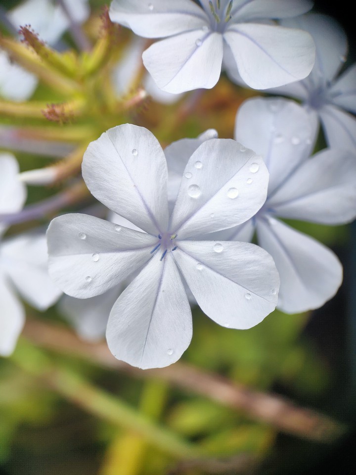 rainy