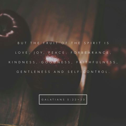 Galatians 5:22-23