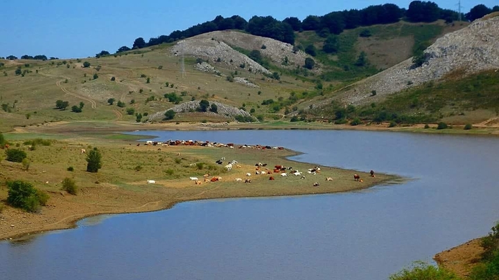 lago Cartolari