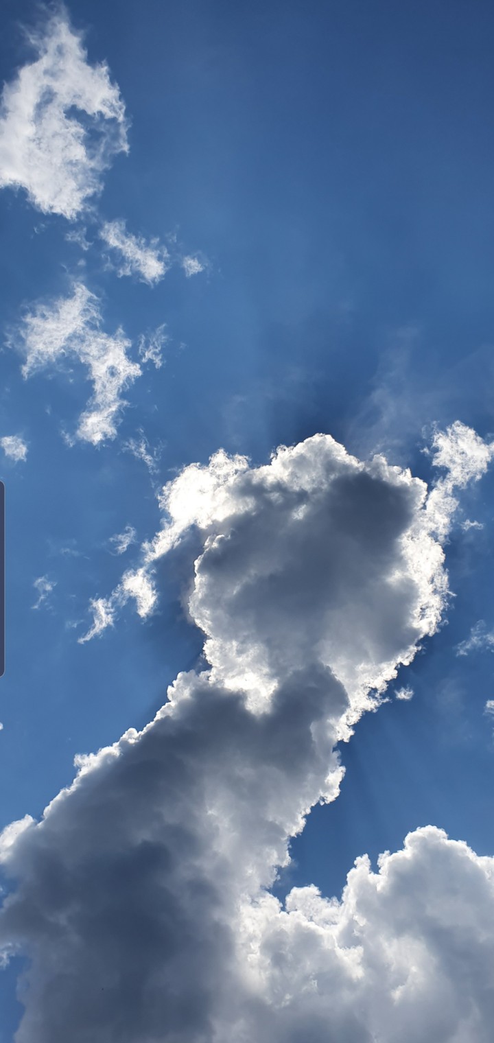 starkwolk