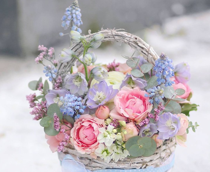soft beauty