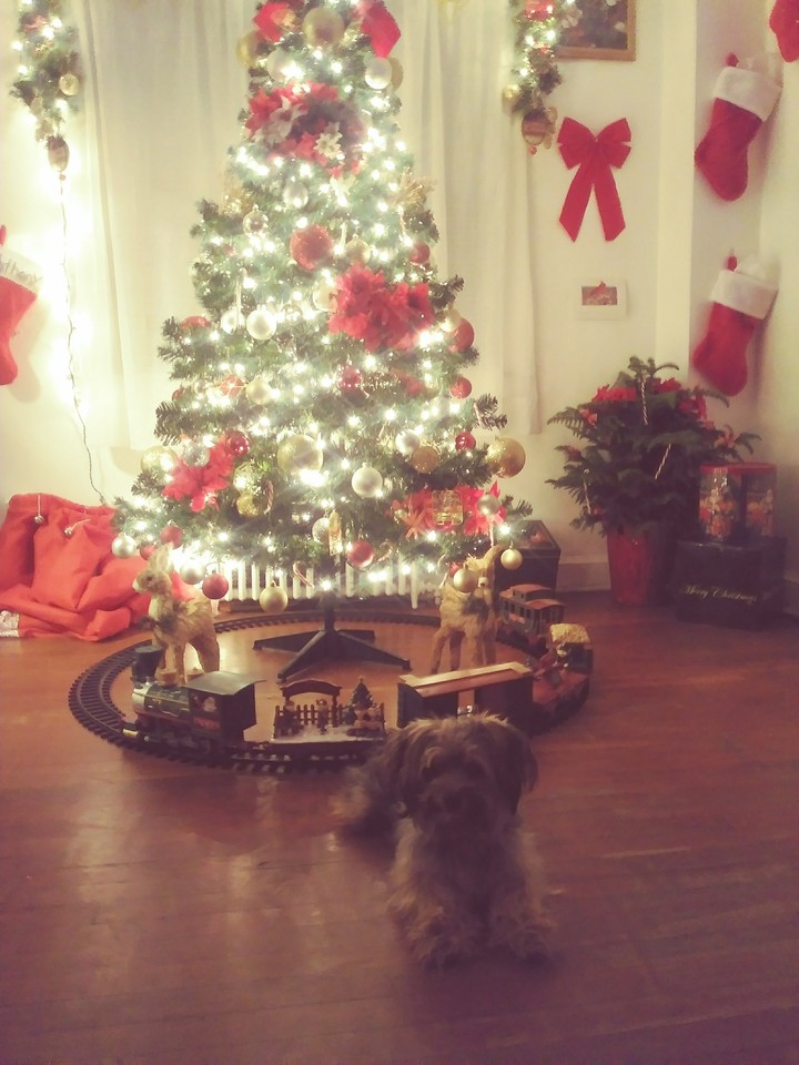 Tree