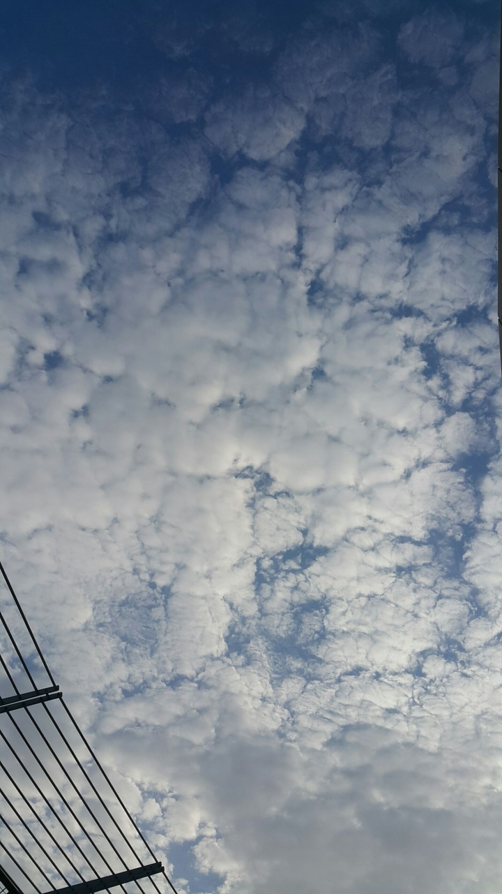 Cloudy Sky