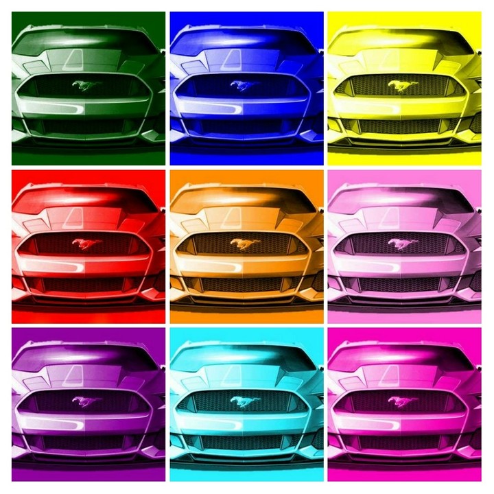 Ford® Mustang™ collage!