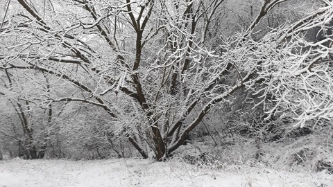 winter