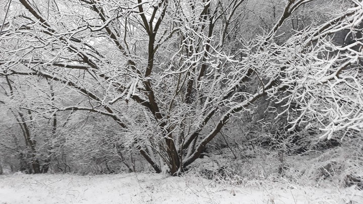 winter