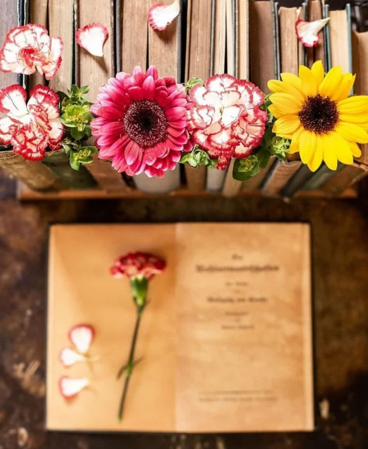 .•♥️•.