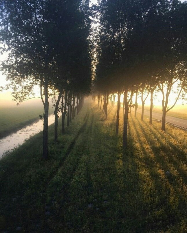 Holland