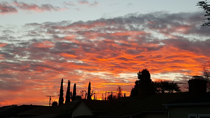 Red Sky