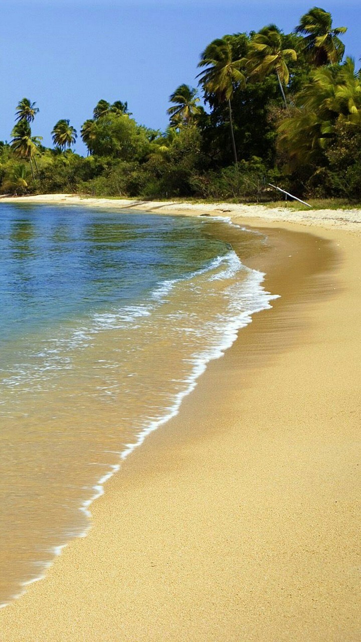 Sea Shore
