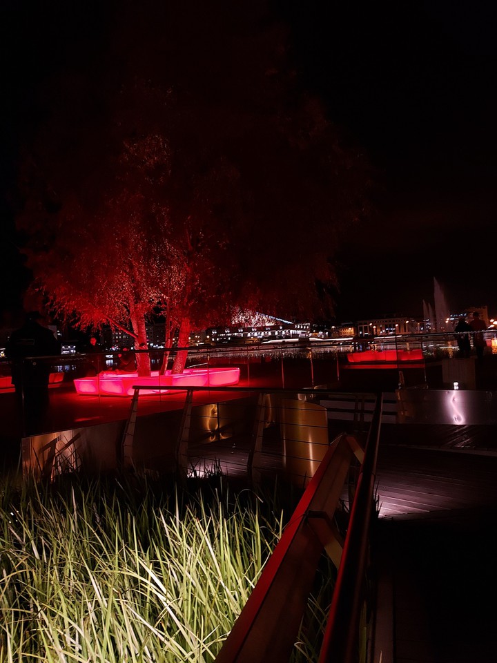 Red tree