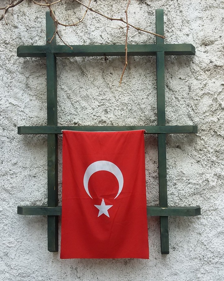 Türk'ün bayrağı