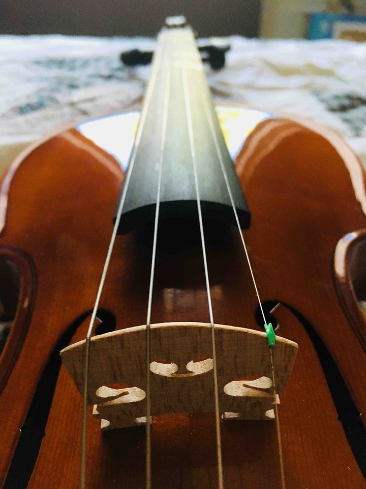 Violin