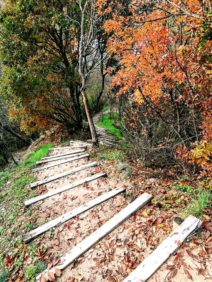autumn