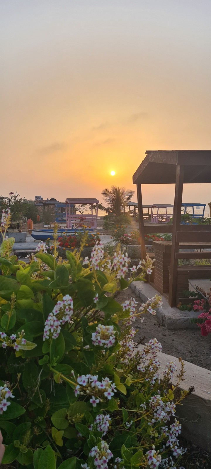 sunset at the beach