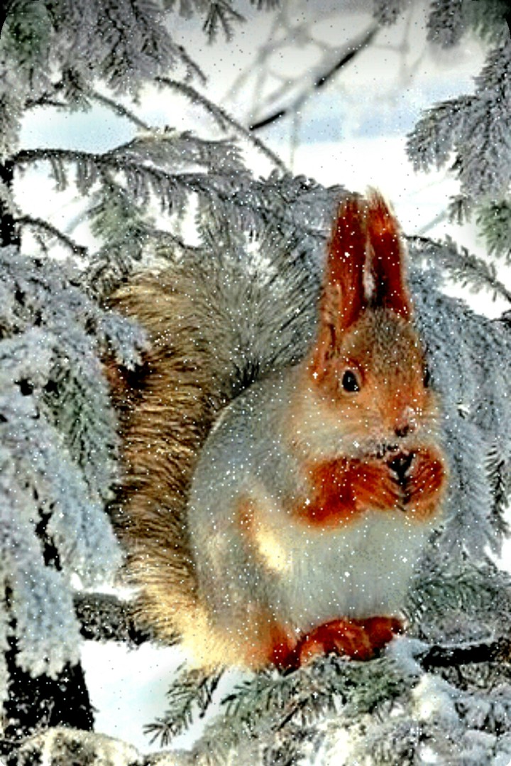 Nature.