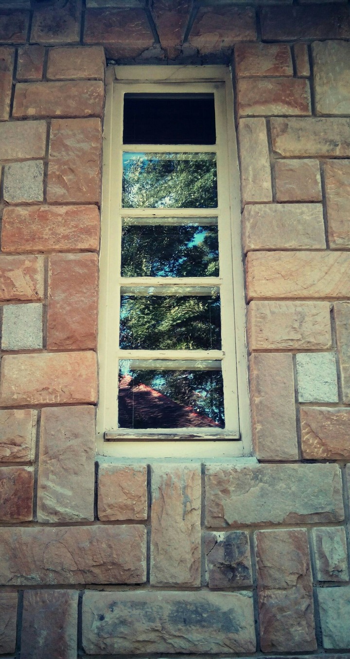 Reflection in the window