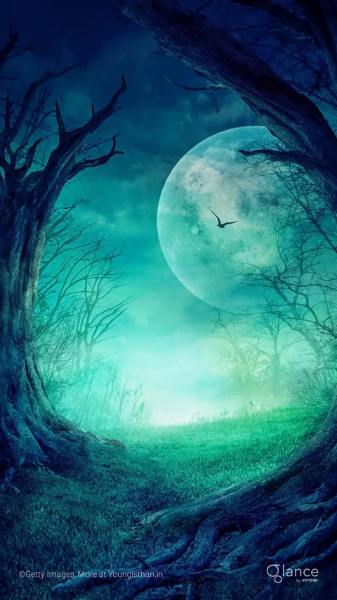 night