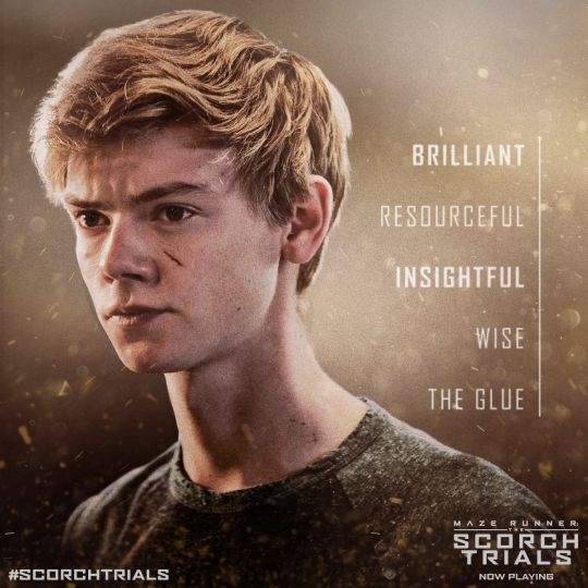 Newt