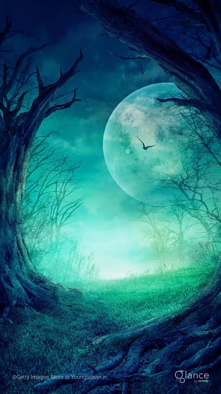 night