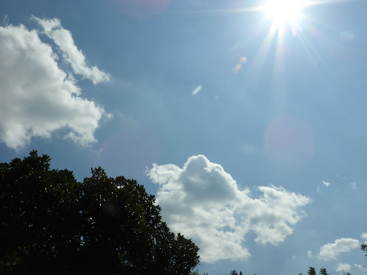 A fresh Day