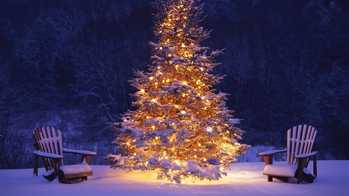Christmas Tree Wallpapers