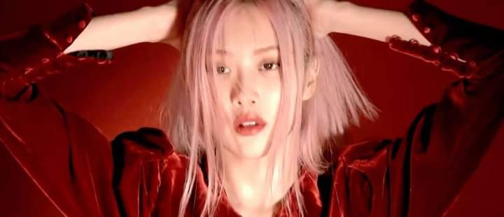 ROSE​ DAZED​ Korea #6