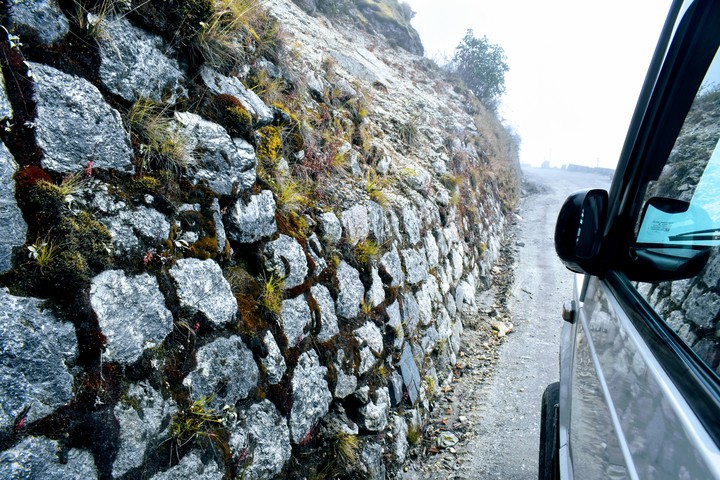 walls