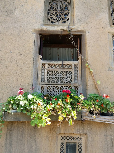 Window