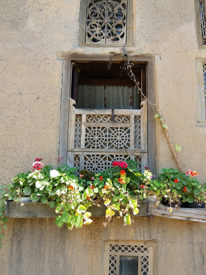 Window