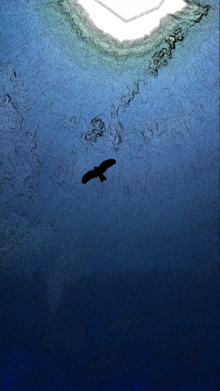 Soaring high